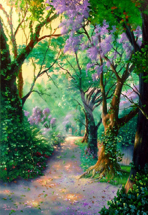 lovely wooded path